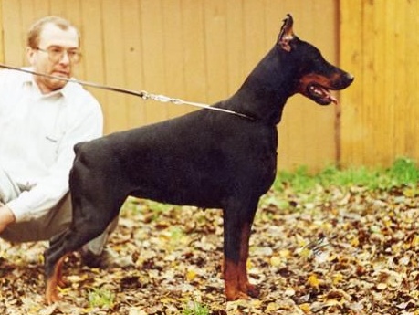 indira v.d. rauberhohle