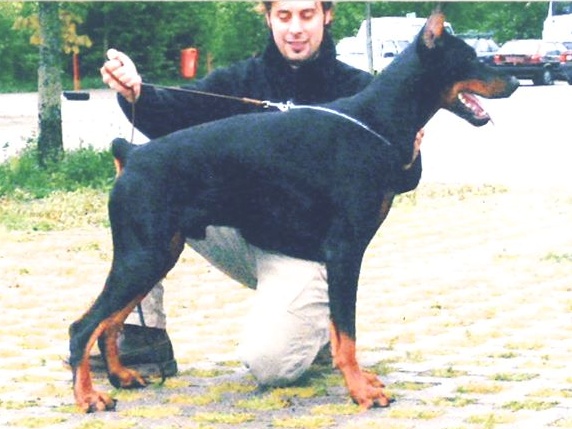 leo levante del rio bianco