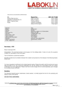 rihannaslegacy laboxxlgenetics1
