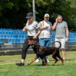 telma 1specshow15
