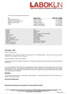 telma laboxxlgenetics1