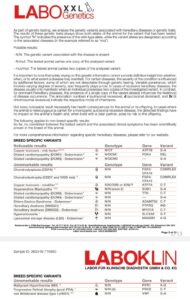 telma laboxxlgenetics2