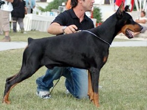 urbano del diamante nero