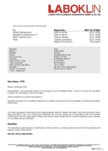 xenaida laboxxlgenetics1