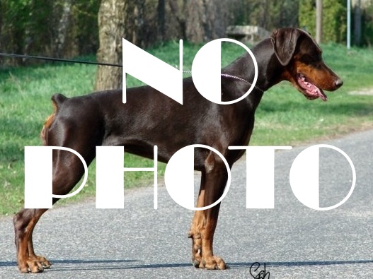 no photo