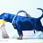 doechii 5w3