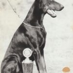 ggpr 07 zeus doriental 15m