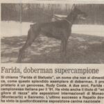 ggpr 08 farida di stefusto 1