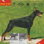 ggpr 137 ono royal bell 12m ud