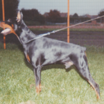 ggpr 18 ellinger des san marin, lux ch 1991