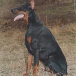 ggpr 184 valdo sawages 14m4