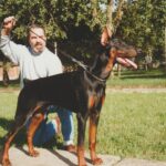 ggpr 190 jack de ferignis 7m