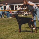 ggpr 27 finja von der rappenau 10m1