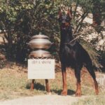 ggpr 83 gipsy de mingoval 17m