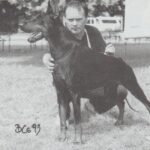 ggpr 84 larson royal bell dv sg 93