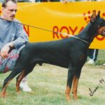 ggpr 84 lord royal bell 2