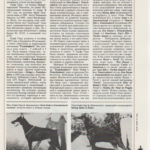 gg 1996 2