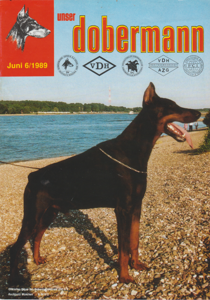 gg ud 1989 06