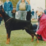 grafguido hassi03
