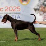 telma giota 14m3