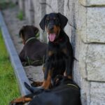 xzibit 10w05