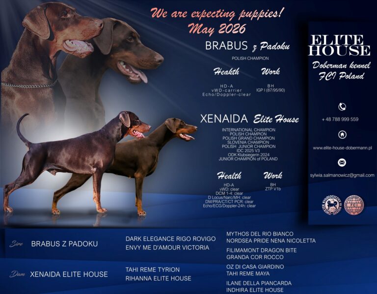banner litter e small