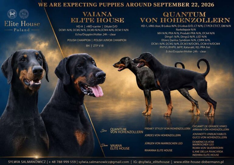 banner F2 Litter